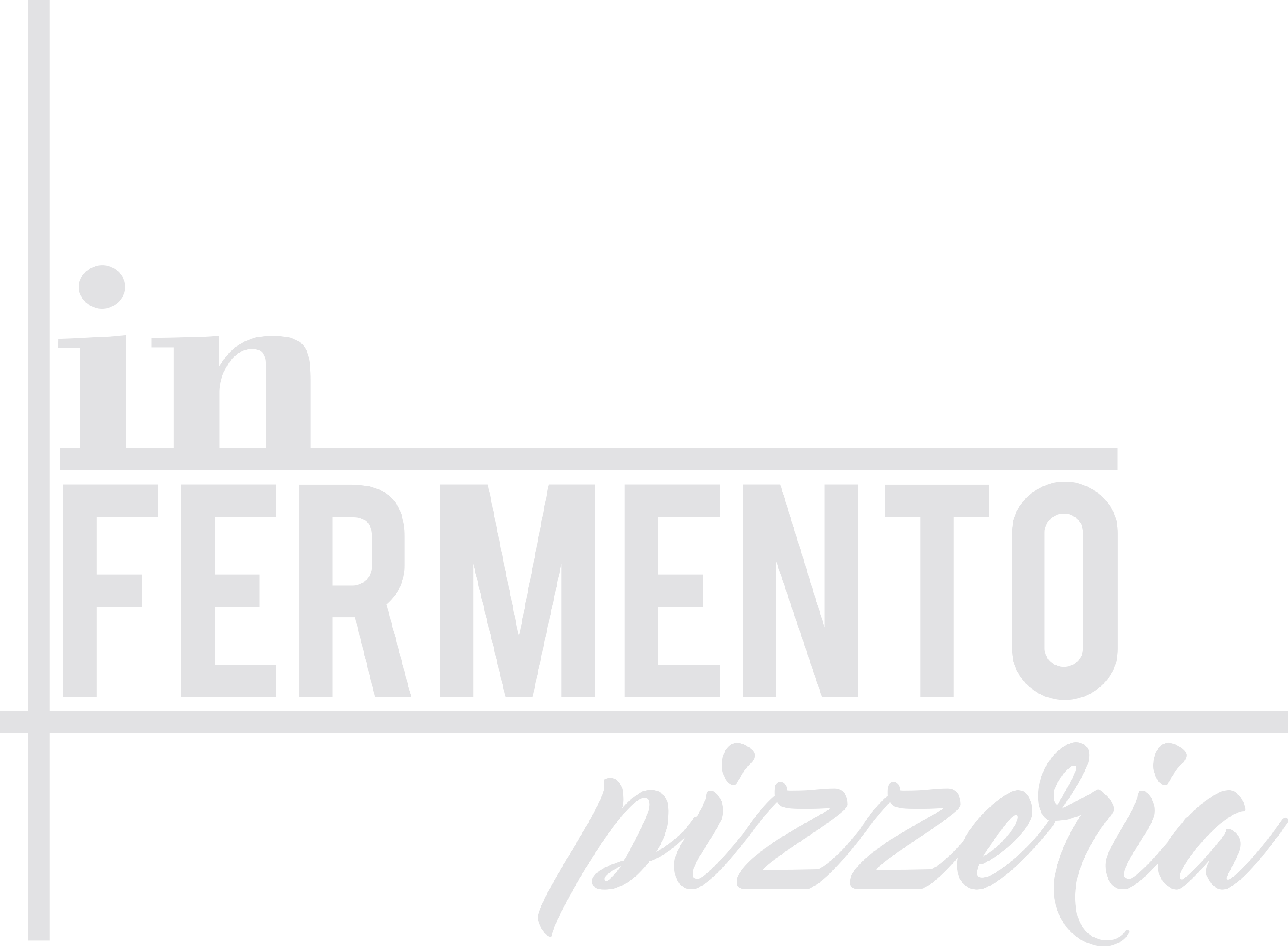 Pizzeria In Fermento